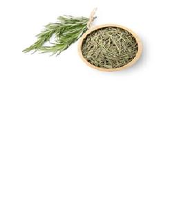 Feuilles de romarin séchées cultivées dans la nature Extrait de plante indienne - Product Image 4