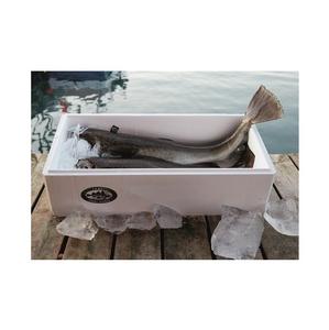 Bacalao del Atlántico Congelado / Filetes Proceso BQF Orgánico Envasado al Vacío Grado Superior Comprar en Línea Oferta al por Mayor Proveedor de Stock a Granel - Product Image 5