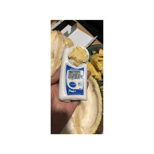 Morceaux de durian congelés en vrac du Vietnam emballés sous vide sans pépins naturel doux et crémeux qualité d'exportation adaptée - Product Image 5