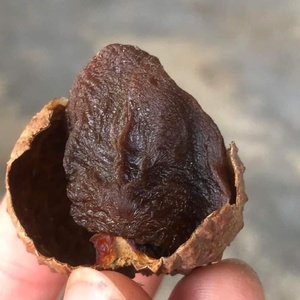 Lichi Seco Premium de Vietnam - Product Image 3
