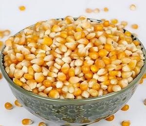 Maïs jaune séché de qualité supérieure, humidité maximale de 14 %, pour l'alimentation animale, prix de gros, sacs en PP de 50 kg pour l'exportation - Product Image 1