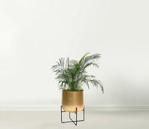 Handmade <b>Indoor</b> Decorative Pure Copper <b>Planter</b> With Tripod Stand For Ferns Palms And Monstera Plants At Wholesale Price - Product Image 6