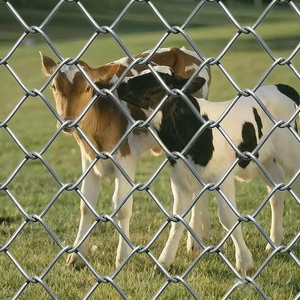 Панель ограждения из нержавеющей стали с порошковым покрытием, усиленная, с защитой от перелезания, для дома, коммерческих объектов и ферм, с возможностью индивидуальной настройки - Product Image 5