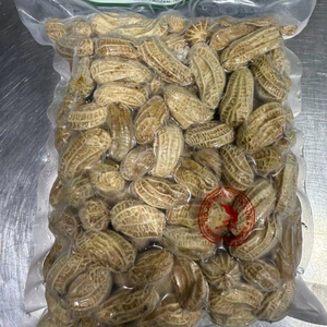 Fabrication au Vietnam d'arachides bouillies congelées en coquille emballées sous vide pour supermarché maison restaurant et collation - Product Image 1