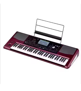 Teclado Arreglista Profesional PA1000, Excelente Estilo Digital con Soporte OEM Personalizable, Precio de Venta Alto - Product Image 1