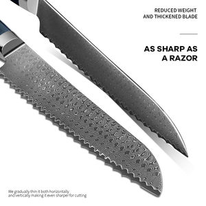 Cuchillo para Pan de 200 mm, 67 Capas de Acero Damasco Japonés VG-10, Mango de Madera Pakka Azul, Cuchillo de Chef de Alta Calidad, Cortador de Pan - Product Image 4