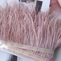 Plumes d'autruche en gros, garnitures teintes, tissu en dentelle naturelle avec une hauteur de 6 à 8 cm pour les travaux manuels de carnaval et de mariage, bordure en franges