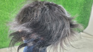 Perruque de remplacement de haute qualité en cheveux indiens Remy, modèle MGM, densité 100%, nouée à la main, nœuds en V, base en dentelle et PU - Product Image 4