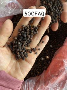 High Quality <b>Black</b> <b>Pepper</b> Vietnam Whole Cheap Wholesale 500GL 550GL 600GL 5MM <b>Powder</b> Bold Single Spices VILACONIC 24 Months - Product Image 6