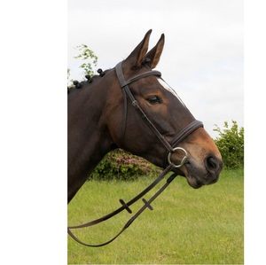 Caballo de alta calidad Personalizar Brida Protección Caballo Brida Caballo Banda de cejas de brida de caballo de alta calidad con cristal de diseñador - Product Image 1