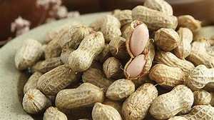 SUPPORT IMMUNITAIRE CONGELÉ ARACHIDES BOUILLÉES À PARTIR D'INGRÉDIENTS PROPRES ET DE TERMINALIA CATAPPA LEAF INSPIRATION - Product Image 2