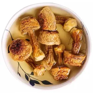 Penjualan Terbaik Agaricus Blazei baik lezat murni kualitas alami bahan mentah Agaricus jamur asal Vietnam