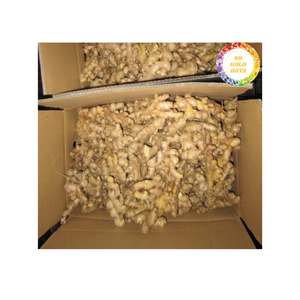 Jengibre fresco de alta calidad de especias de raíz natural de Vietnam para cocinar aromatizantes y mercado de exportación al por mayor en todo el mundo - Product Image 3