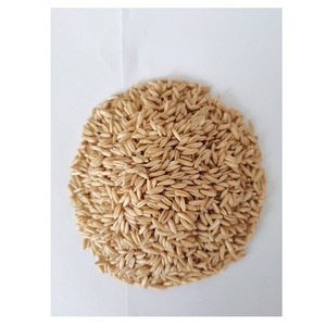 ข้าวโอ๊ตคั่วสำเร็จรูปพร้อมปรุง โปรตีนสูง คุณภาพดี ขายส่ง - Product Image 5