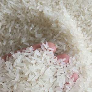 Arroz Blanco de Grano Largo 100% Orgánico Vietnam Sunrise 4900, Vida Útil de 2 Años, Empaquetado en 1kg/5kg/10kg/25kg/50kg - Product Image 1