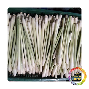 Citronnelle fraîche congelée avec arôme naturel et saveur forte | Origine Vietnam | Prix de gros - Product Image 4