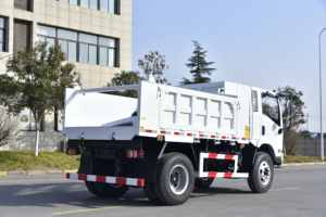 Shacman sagmoto x9s 1995 מונית/4*2 (עומס מרבי 5 טון; מהירות מרבית 105 קילומטר/שעה) דגם מוסמך - Product Image 4