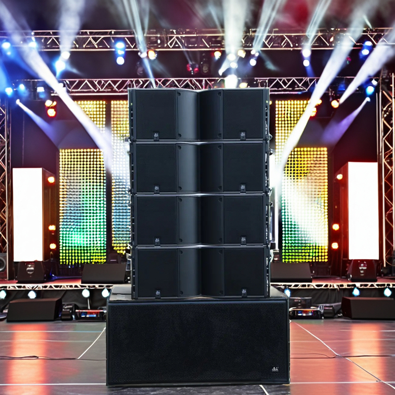 DBK Dual 12 Inch 2 Way