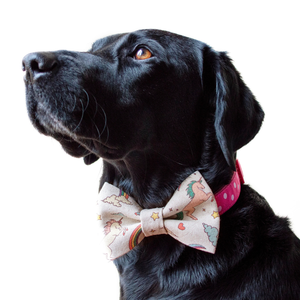 Atacado Mágico Unicórnio Rainbow Star Dog Bow Tie Ajustável Algodão Pet Bowtie para Coleiras Arneses Leads S M L - Product Image 6