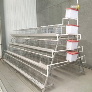 Sistema de Jaulas Tipo A de Alta Capacidad para la Cría de Gallinas Ponedoras, Producción de Huevos y Equipo Avícola al por Mayor - Product Image 3