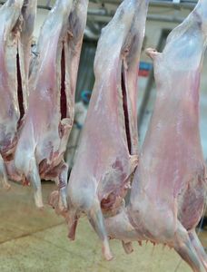 Cordero Entero Halal Orgánico Congelado al Vacío (BQF) de Grado Alimenticio, Carne de Cordero Fresca Congelada, Venta al por Mayor a Granel, Suministro para Exportación - Product Image 2