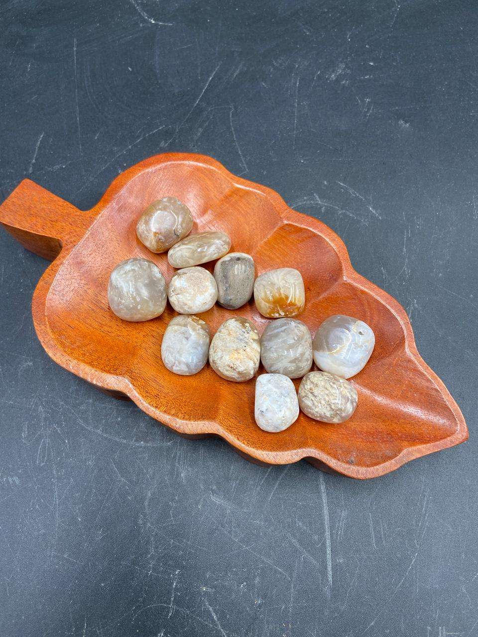 ธรรมชาติ