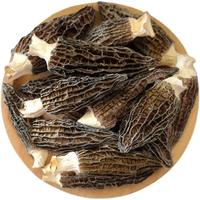 Champignons Morel Naturels Sauvages Biologiques Aliment Sain Champignons Noirs Séchés
