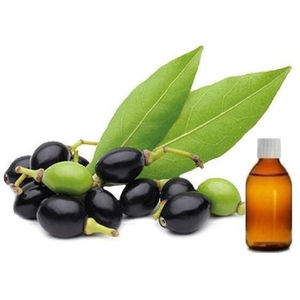 100% baie de laurier biologique pour adoucir la peau à vendre par les exportateurs indiens à bas prix huile de baies de laurier d'Inde - Product Image 1