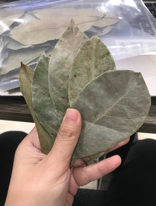 Feuilles de corossol séchées naturelles Graviola Annona Muricata en vrac, feuilles brutes pour l'emballage et le traitement du thé en vrac - Product Image 4