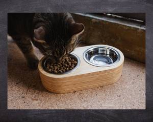 2025 Bamboo Dog <b>Bowl</b> Pet <b>Cat</b> Food <b>Bowl</b> Wooden <b>Stand</b> Pet Feeders - Product Image 4
