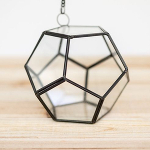 Terrarium en verre exclusif nouveau style le plus vendu avec bordure en laiton fini noir pour la décoration de la maison et de la fête dans la déco de jardin - Product Image 3