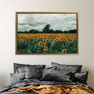 Impression sur toile Champ de tournesols : Œuvre d'art paysagère naturelle vibrante, toile encadrée dorée - Product Image 1
