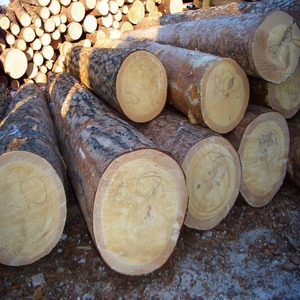 Eucalyptus round <b>logs</b>/Timber Round Pattern Eucalyptus Timber <b>Wood</b> <b>Logs</b> Included - Product Image 4