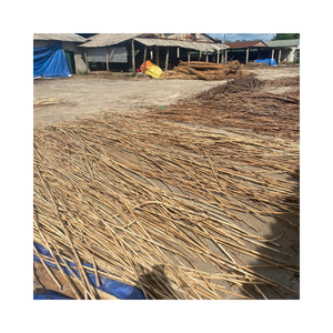 หวายแท่ง หวายดิบ วัตถุดิบหวาย ขายส่งหวายดิบ ราคาแข่งขัน จากเวียดนาม 99 โกลด์ ดาต้า - Product Image 6