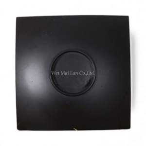 Assiette moderne classique en nacre pour la décoration de la salle à manger et la présentation élégante des plats à la maison, en provenance du Vietnam - Product Image 4