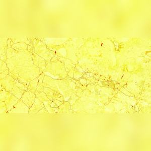 Carreaux vitrifiés à finition brillante hypnotique 600x1200mm pour des déclarations audacieuses dans les halls d'entreprises et les retraites privées - Product Image 3