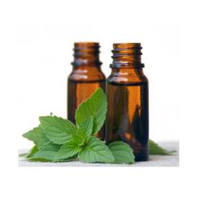 Venta caliente 100% Aceite esencial de albahaca orgánica natural a precio mayorista - Product Image 3