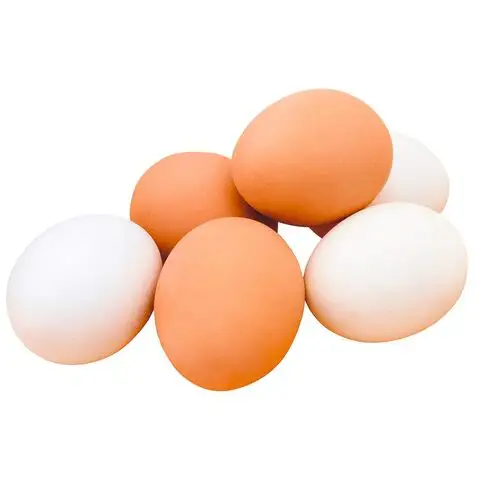 Huevos para incubar de la mejor calidad Cobb 500 y Ross 308/pollo Ross/huevos de gallina para asar a la venta.