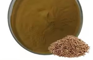 Caraway en poudre douce, nutritive, saine, naturelle, sans pesticide, hautement aromatique, de qualité alimentaire, grade 1, durée de conservation de 2 ans - Product Image 3