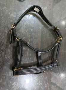 Halter de caballo de correa de nailon Premium engrosado con relleno de lana y cojín de esponja cómodo equipo ecuestre duradero - Product Image 6