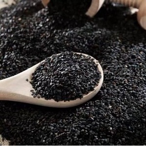 ミルクナッツを作るための高純度ゴマ黒ゴマパウダー/黒ゴマパウダー - Product Image 3