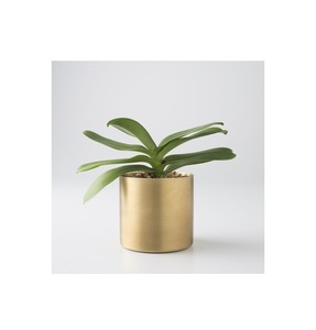 Maceta decorativa de metal pulido dorado hecha a mano para espacios interiores incluyendo salas de estar u oficinas de lujo - Product Image 1