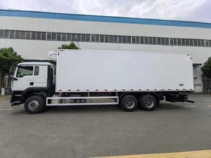 Camión Refrigerado Howo 6x4 con Motor, Camión Frigorífico, Furgoneta Refrigerada de 41 m³, Unidades de Refrigeración para Camiones de 3-20 Toneladas - Product Image 5