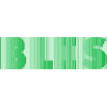 BLIS Kugelgewindetriebe GmbH logo