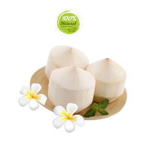 ประวัติศาสตร์การใช้เปลือกมะพร้าวปอกเปลือกเพชรสดทางยา - Product Image 5