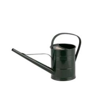 Bidon d'eau en métal de style vintage léger et robuste pour les plantes domestiques avec une finition antirouille et un décor charmant - Product Image 2