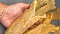 VDELTA Vietnam Golden Fish Maw |   Récolte marine de qualité supérieure |   Offre en gros