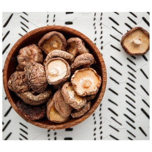 SETA SHIITAKE SEDA ORGÁNICA - Product Image 1