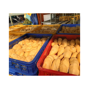 DURIAN SECO DE VIET NAM 100% NATURAL Y DE MEJOR CALIDAD PARA SNACK AL POR MAYOR EXPORTACIÓN ESTÁNDAR - Product Image 6