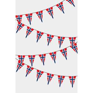 Party <b>Banners</b> Norwegian Triangular Flag Garland - Product Image 1